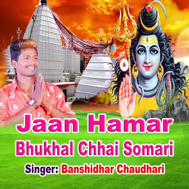 Couverture de Jaan Hamar Bhukhal Chhai Somari