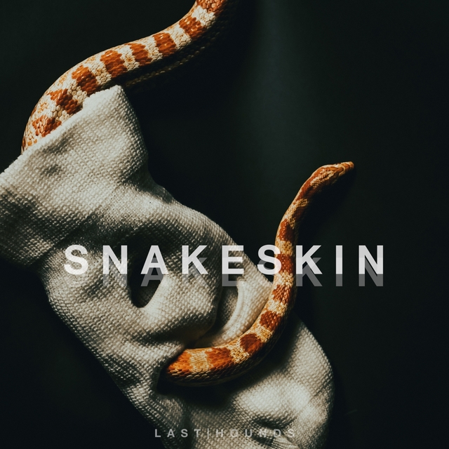 Couverture de Snakeskin