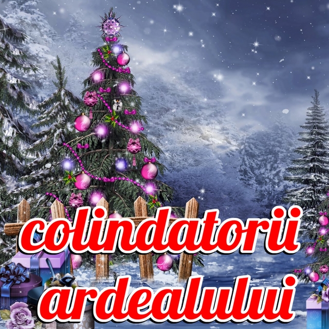 Couverture de Colindatori Ardealului