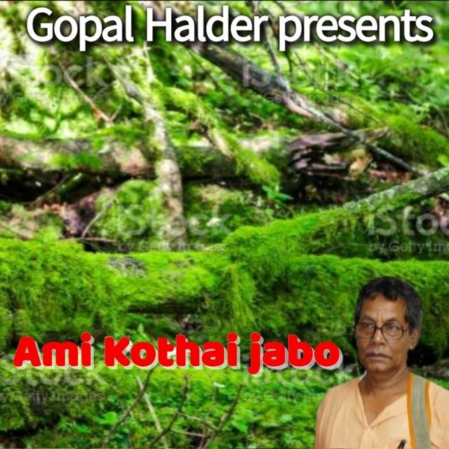 Couverture de Ami Kothai Jabo