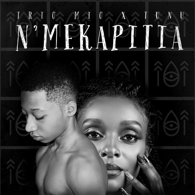 Couverture de N'Mekapitia