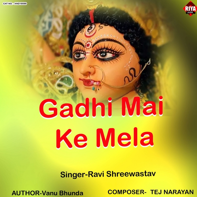 Couverture de Gadhi Mai Ke Mela