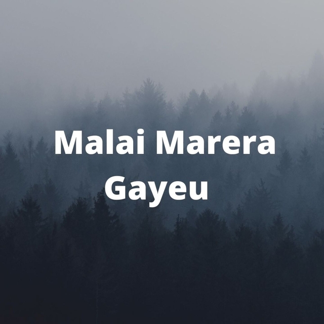 Couverture de Malai Marera Gayeu