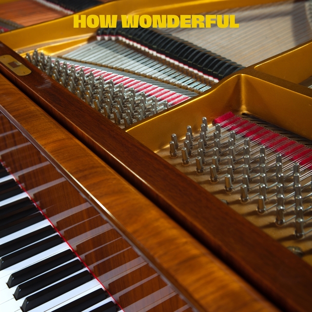 Couverture de How Wonderful