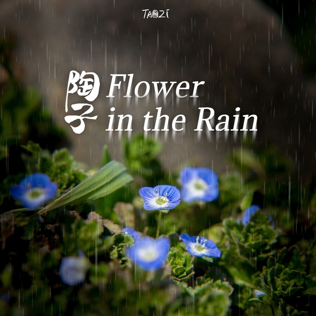 Flower in the Rain