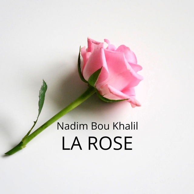 Couverture de La Rose