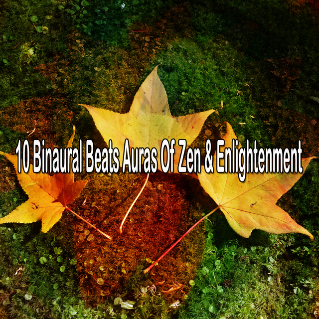 Couverture de 10 Binaural Beats Auras Of Zen & Enlightenment