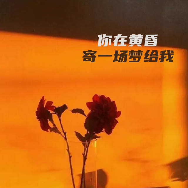 Couverture de 你在黄昏寄一场梦给我