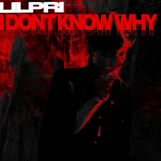 Couverture de I Dont Know Why