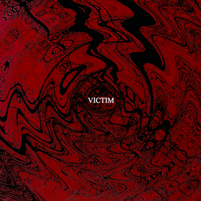 Couverture de Victim