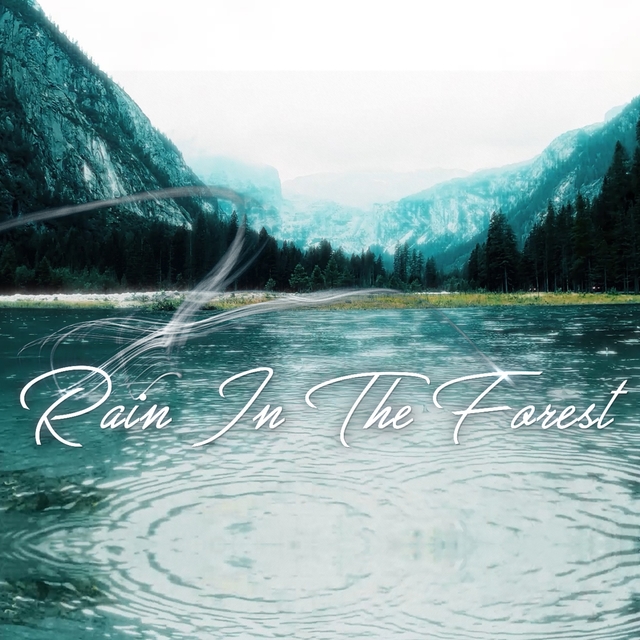 Couverture de Rain In The Forest