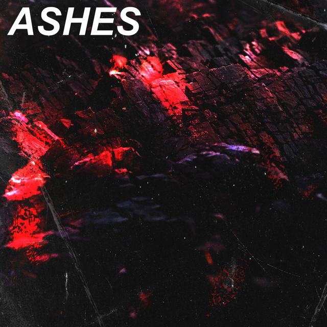 Couverture de Ashes