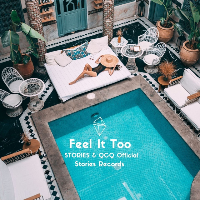 Couverture de Feel It Too