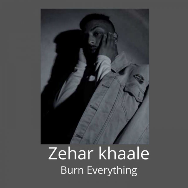 Couverture de Zeher Khaale