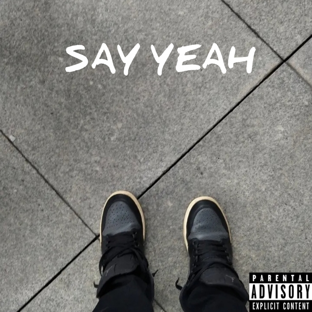 Couverture de Say Yeah