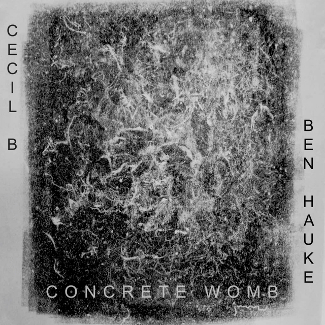 Couverture de Concrete Womb