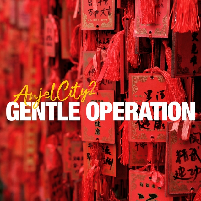 Couverture de Gentle Operation