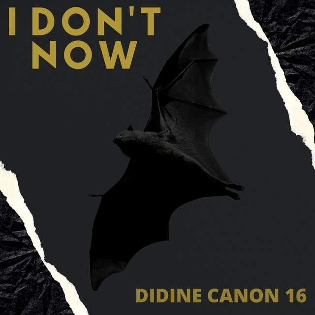 Couverture de I Don't Now