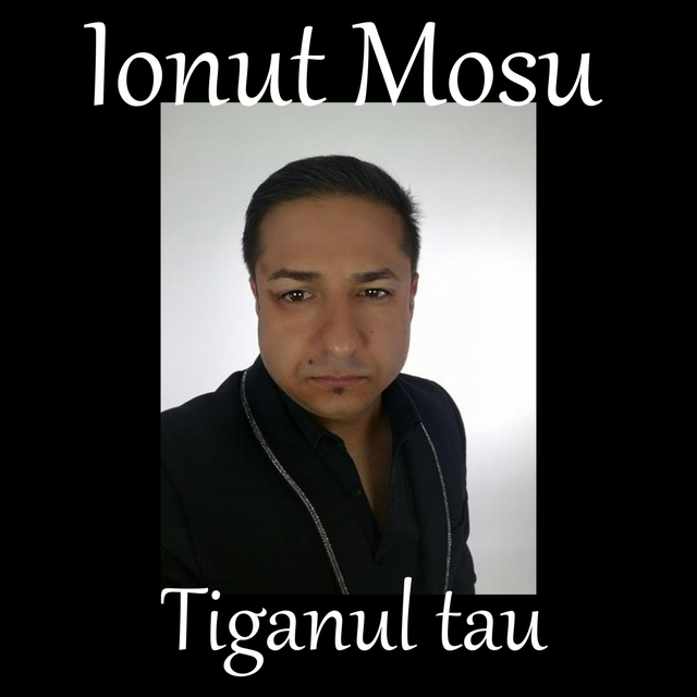 Couverture de Tiganul tau