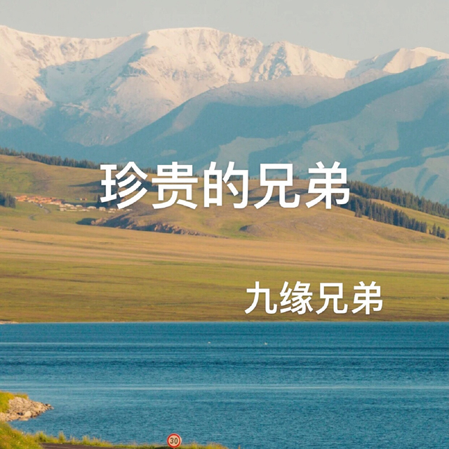 Couverture de 珍贵的兄弟