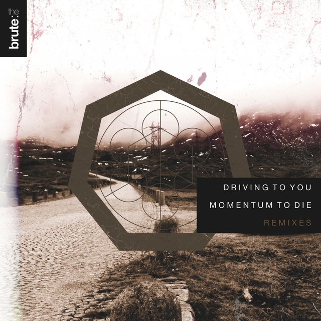 Couverture de Driving To You / Momentum To Die