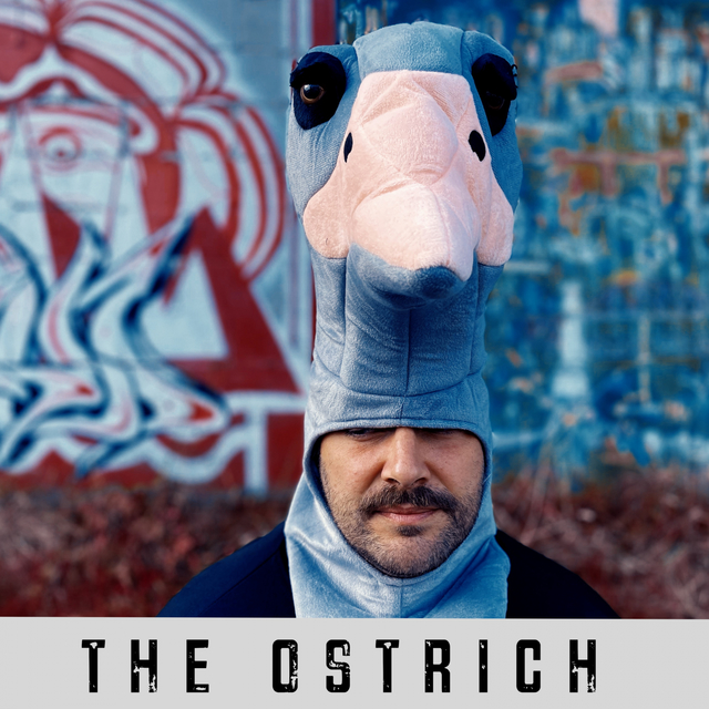 Couverture de The Ostrich