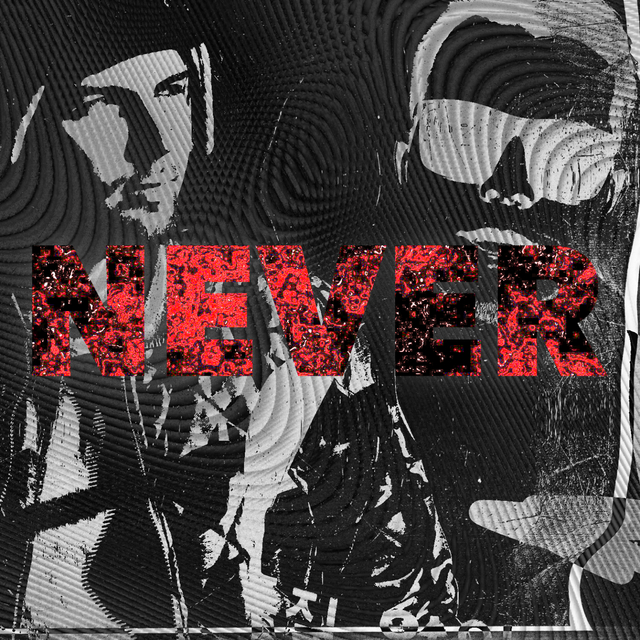 Couverture de Never