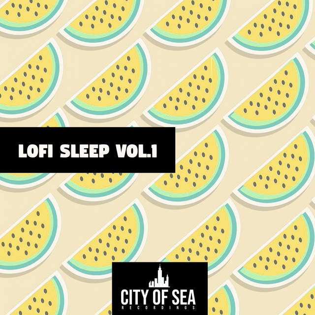 Couverture de Lofi Sleep, Vol. 1