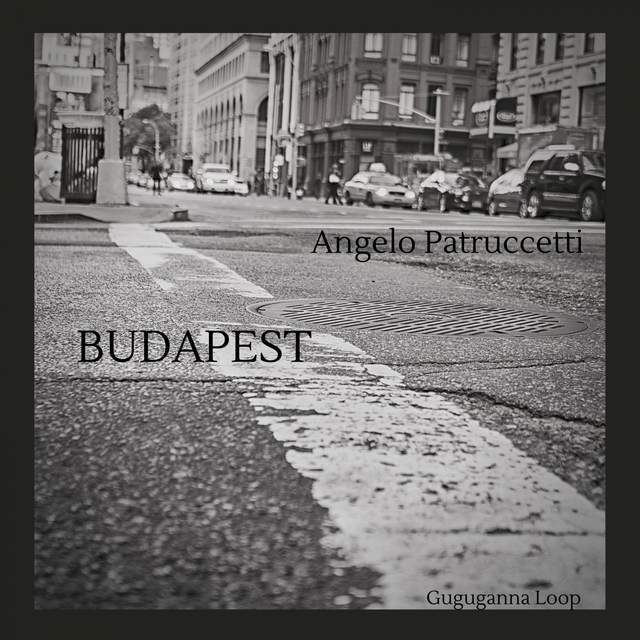 Couverture de BUDAPEST