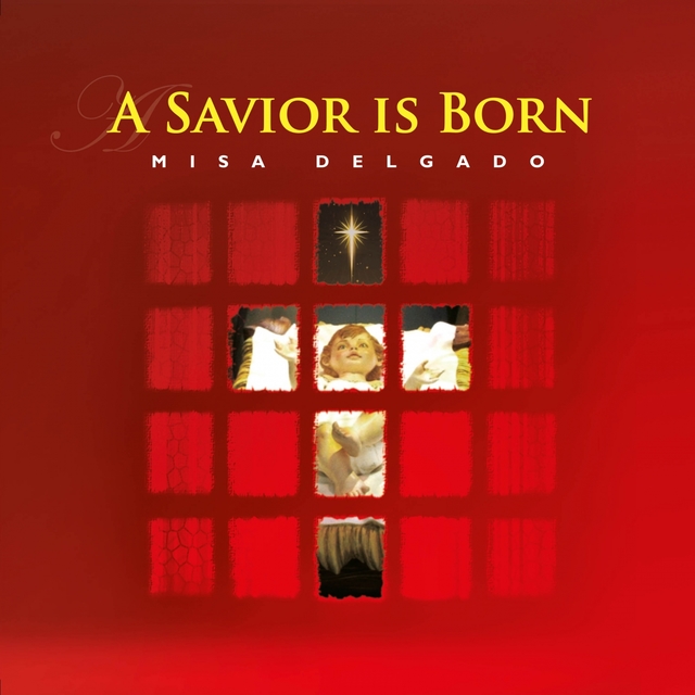 Couverture de A Savior is Born (Misa Delgado 9)