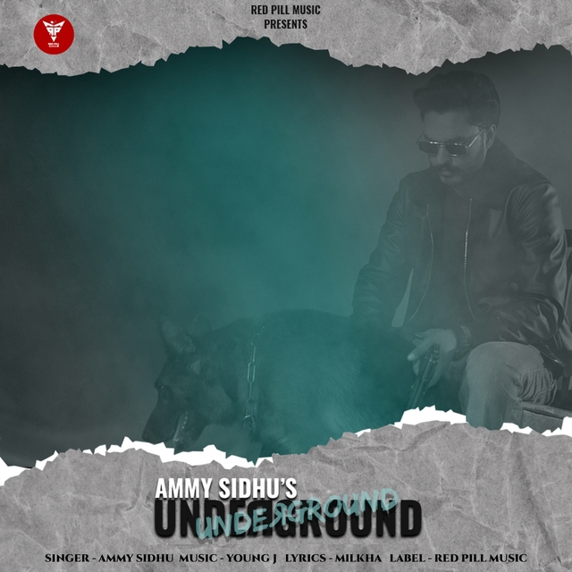 Couverture de Underground