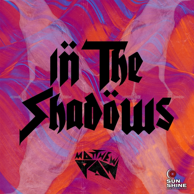 Couverture de In The Shadows