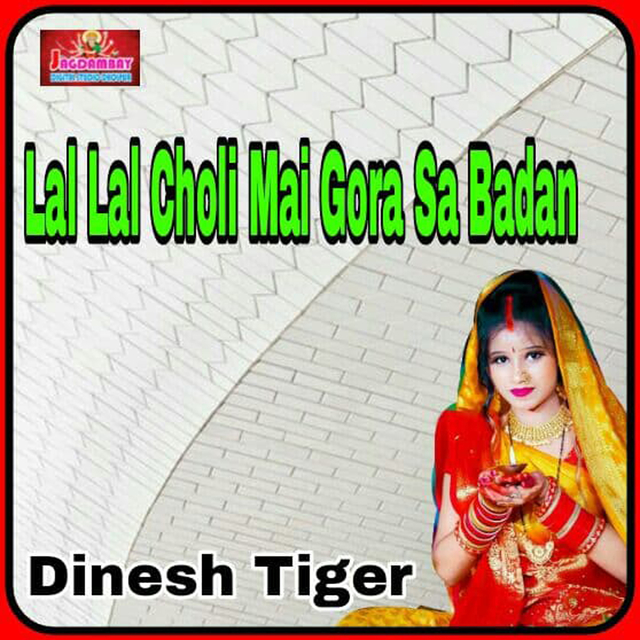 Couverture de Lal Lal Choli Mai Gora Sa Badan