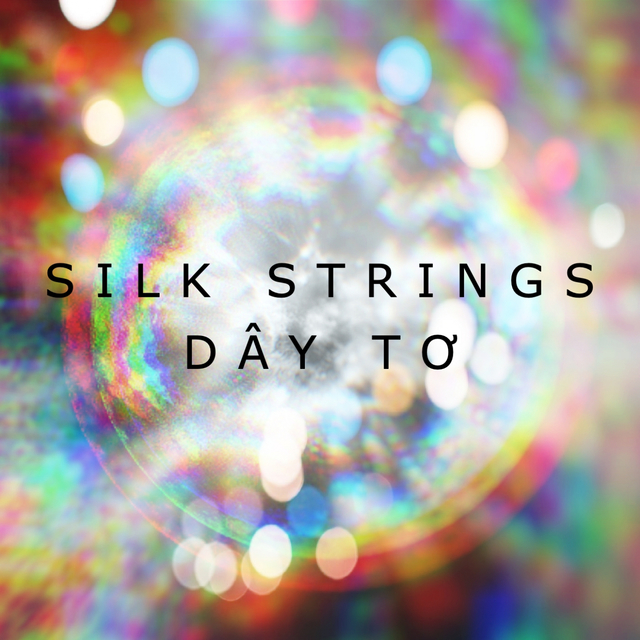 Couverture de Silk Strings