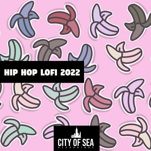 Couverture de Hip Hop Lofi 2022