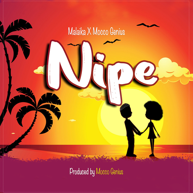 Couverture de Nipe