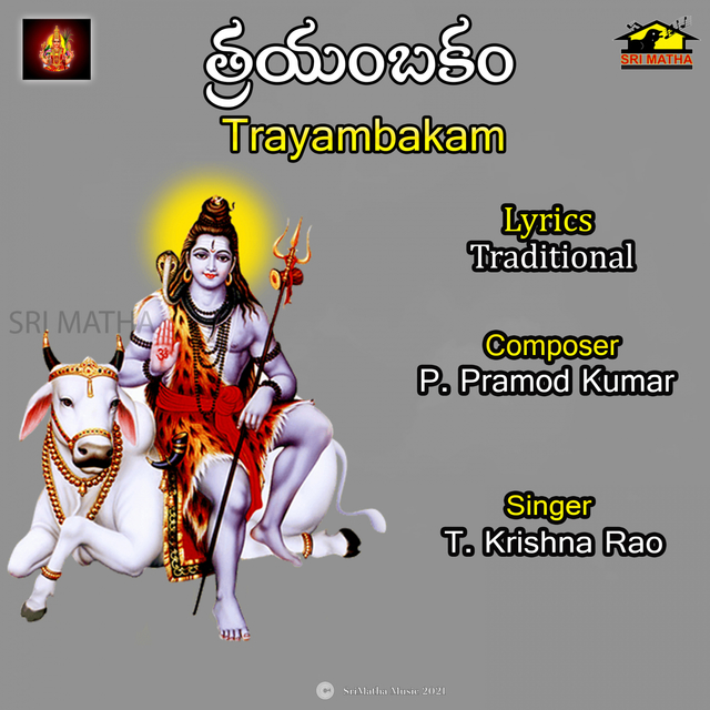 Couverture de Om Trayambakam