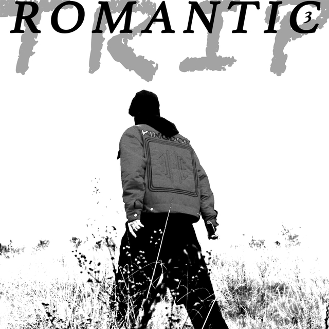 Couverture de ROMANTIC TRIP 3