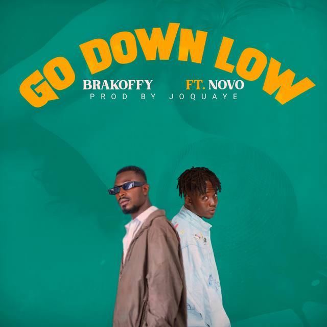 Couverture de Go Down Low