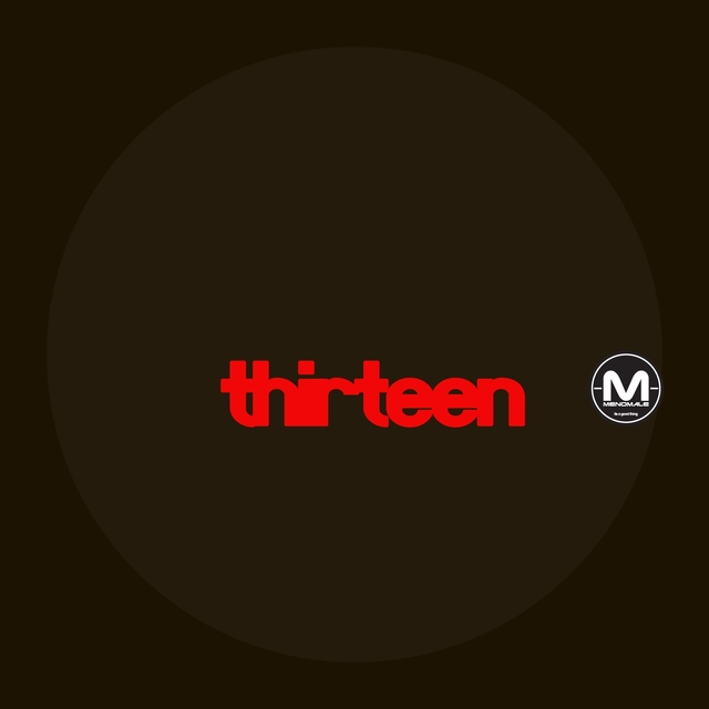 Couverture de Thirteen