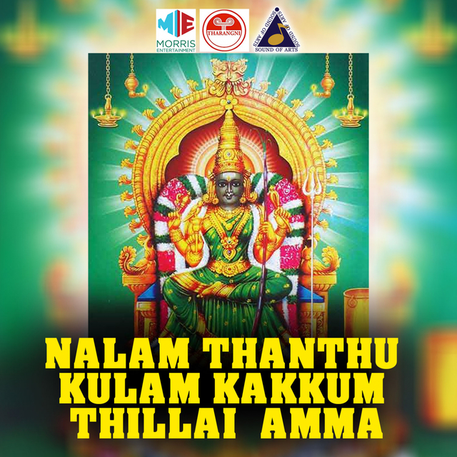 Couverture de Nalam Thanthu Kulam Kakkum Thillai Amma