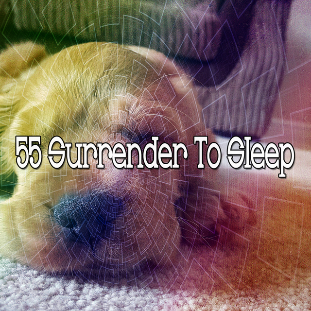 Couverture de 55 Surrender To Sleep