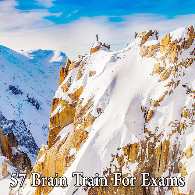 Couverture de 57 Brain Train For Exams