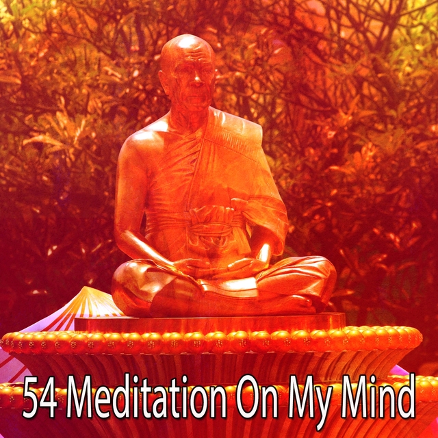 Couverture de 54 Meditation On My Mind