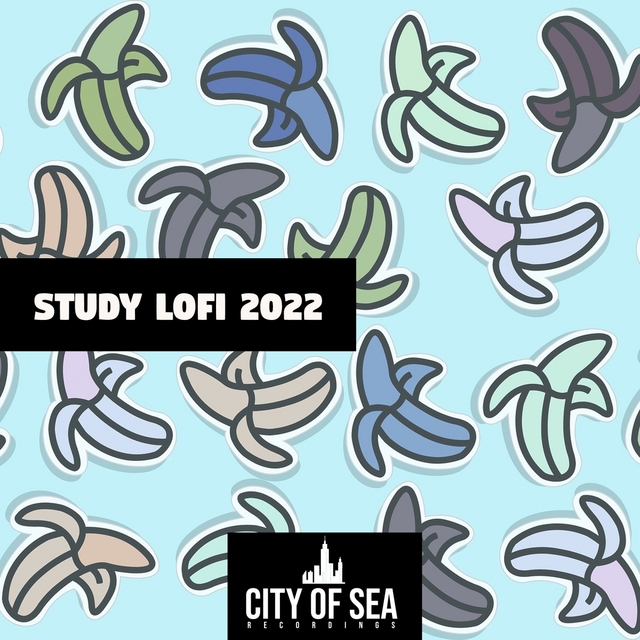 Couverture de Study Lofi 2022