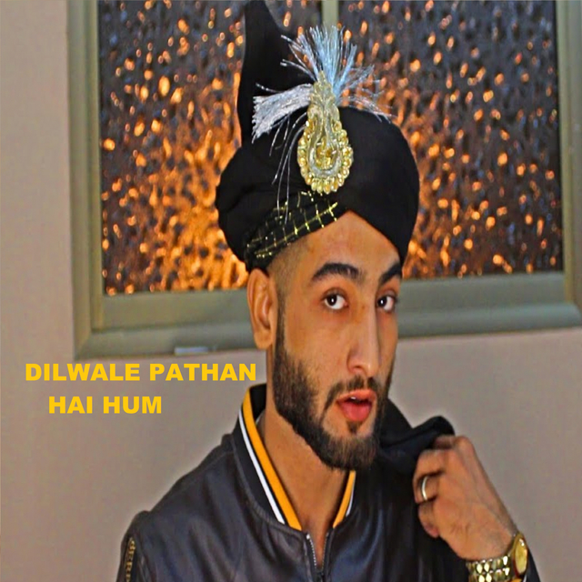 Couverture de Dilwale Pathan Hai Hum