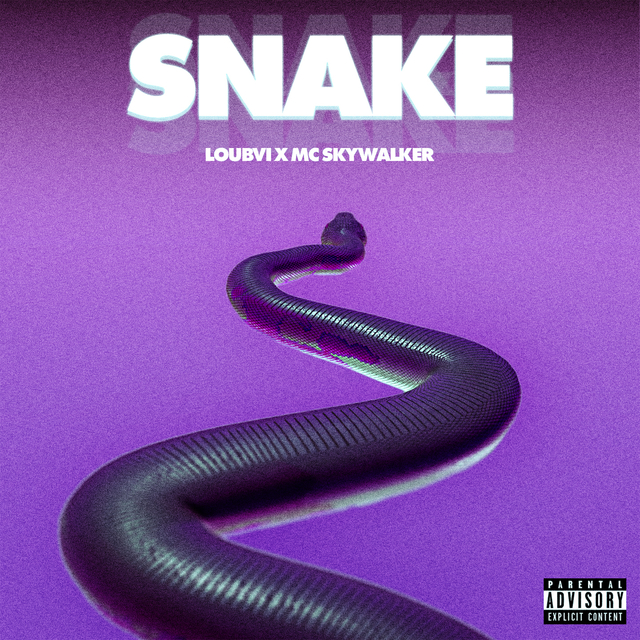 Couverture de Snake