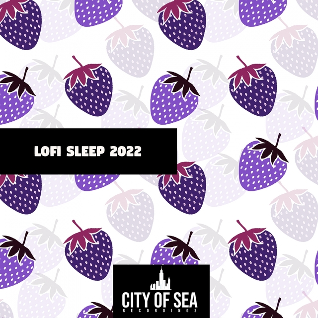 Lofi Sleep 2022