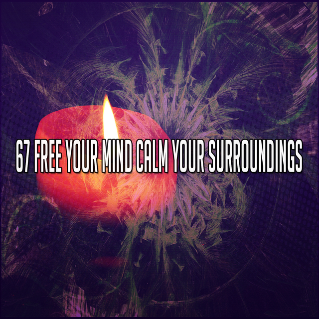 Couverture de 67 Free Your Mind Calm Your Surroundings