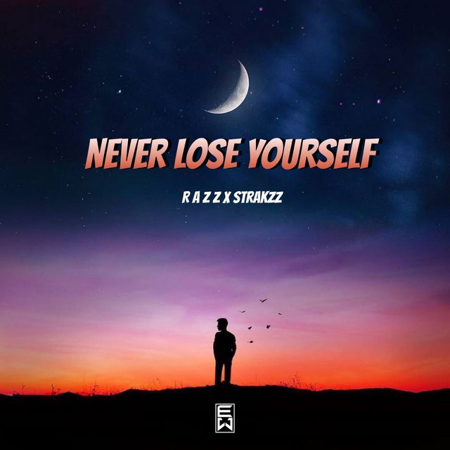 Couverture de Never Lose Yourself